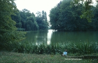 http://www.christinebizer.com/files/gimgs/th-50_50_schwetzinerschlosspark.jpg